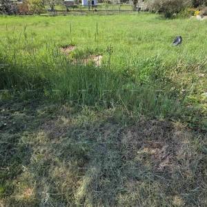 Građevinsko zemljište 1.412 m², Šegotići