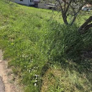 Građevinsko zemljište 1.412 m², Šegotići