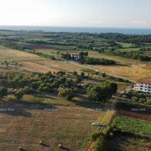 Građevinsko zemljište 1500 m² u blizini Savudrije