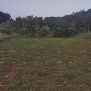 Građevinsko zemljište s  idejnim projektom, 1818 m², općina Pićan