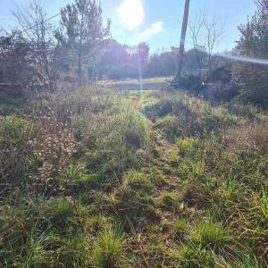 Građevinsko zemljište Vintijan – 800 m2 – uz cestu