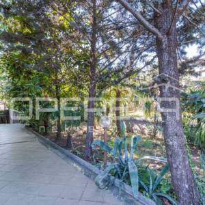 Ičići – prostran stan na 1. katu s tavanskim prostorom, terasom i 2 parkirna mje