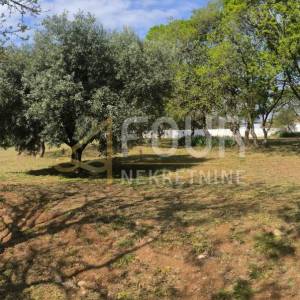 Istra, Barban - okolica, samostojeća kuća s bazenom