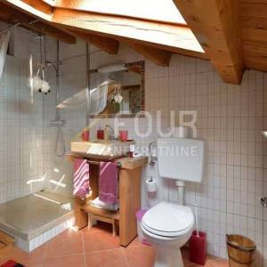 Istra, Dračevac, kuća za odmor 240m2