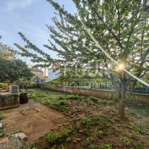 Istra, Galižana, samostojeća kuća, 190m2