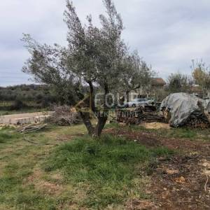 Istra, Marčana - okolica, samostojeća kuća 50m2