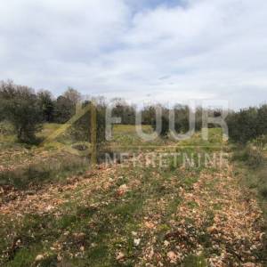 Istra, Marčana, poljoprivredno zemljište 7517m2