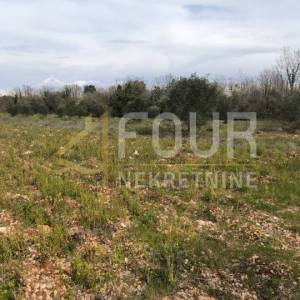 Istra, Marčana, poljoprivredno zemljište 7517m2