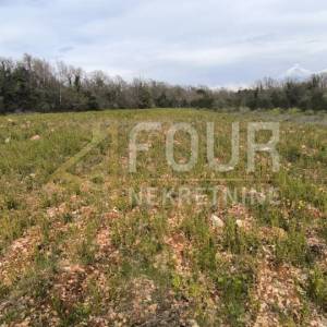 Istra, Marčana, poljoprivredno zemljište 7517m2