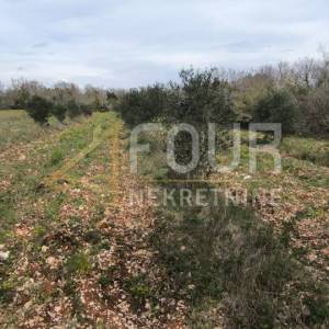 Istra, Marčana, poljoprivredno zemljište 7517m2
