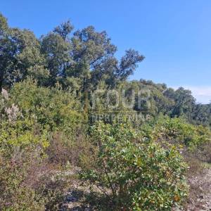 Istra, Marčana, poljoprivredno zemljište, 550m2