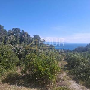 Istra, Marčana, poljoprivredno zemljište, 500m2