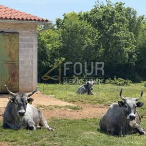 Istra, Marčana, samostojeći i dvojni gospodarski objekt