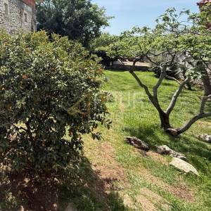 Istra, Marčana, samostojeći i dvojni gospodarski objekt