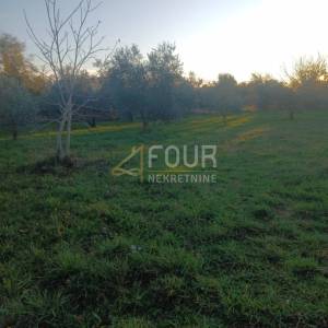 Istra, Marčana, zemljište 3.045m2