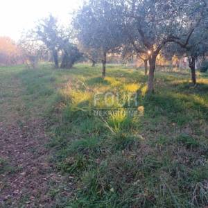 Istra, Marčana, zemljište 3.045m2