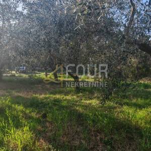 Istra, Marčana, zemljište 3.045m2