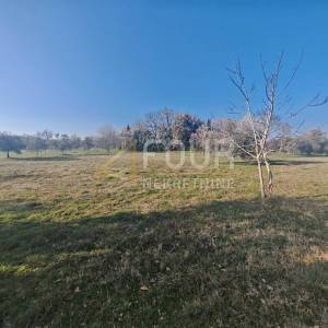 Istra, Marčana, zemljište 3.045m2