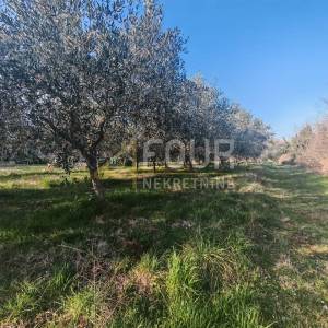 Istra, Marčana, zemljište 3.045m2