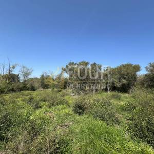 Istra, Medulin, poljoprivredno zemljište 401m2