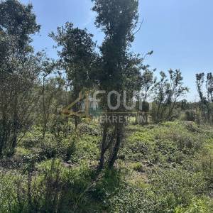 Istra, Medulin, poljoprivredno zemljište 403m2