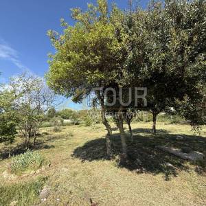 Istra, Pula, poljoprivredno zemljište, 1127m2