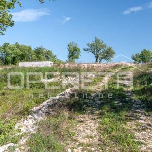 Istra, Tinjan- Građevinsko zemljište s projektom i započetom gradnjom