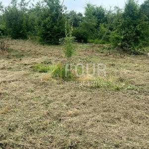 Istra, Umag, Materada, poljoprivredno zemljište, 500m2