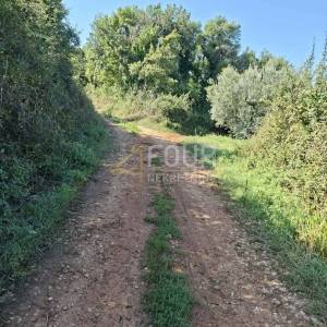 Istra, Valtura, poljoprivredno zemljište 3.376m2