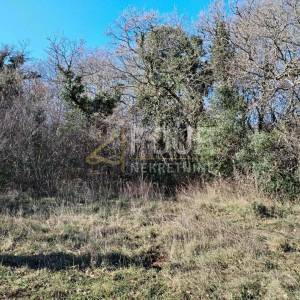 Istra, Valtura, poljoprivredno zemljište 3.376m2