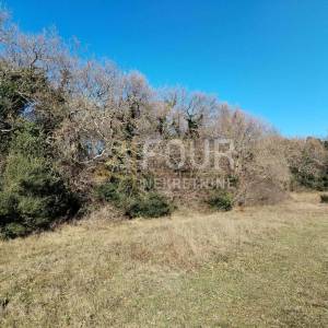 Istra, Valtura, poljoprivredno zemljište 3.376m2