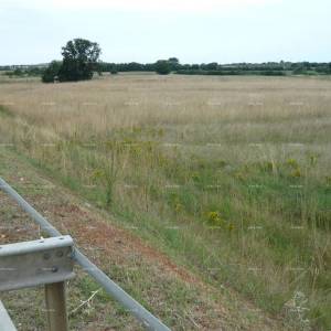 Jadreški, Prodaje se poljoprivredno zemljište, površine 21.870 m²