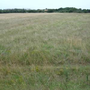 Jadreški, Prodaje se poljoprivredno zemljište, površine 21.870 m²