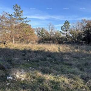 Jurcanija, Buje. Građevinsko zemljište s panoramskim pogledom