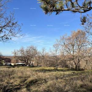 Jurcanija, Buje. Građevinsko zemljište s panoramskim pogledom