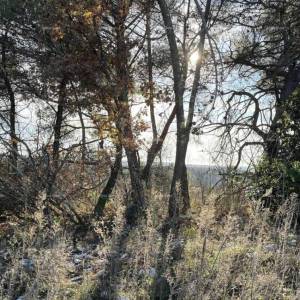 Jurcanija, Buje. Građevinsko zemljište s panoramskim pogledom