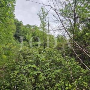 Kamena kuća s pogledom na more + dodatna parcela 1400 m² | Baretići, Grižane