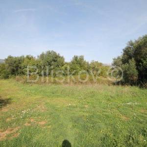 Kaštel Štafilić, poljoprivredno zemljište 1466m2, prodaja