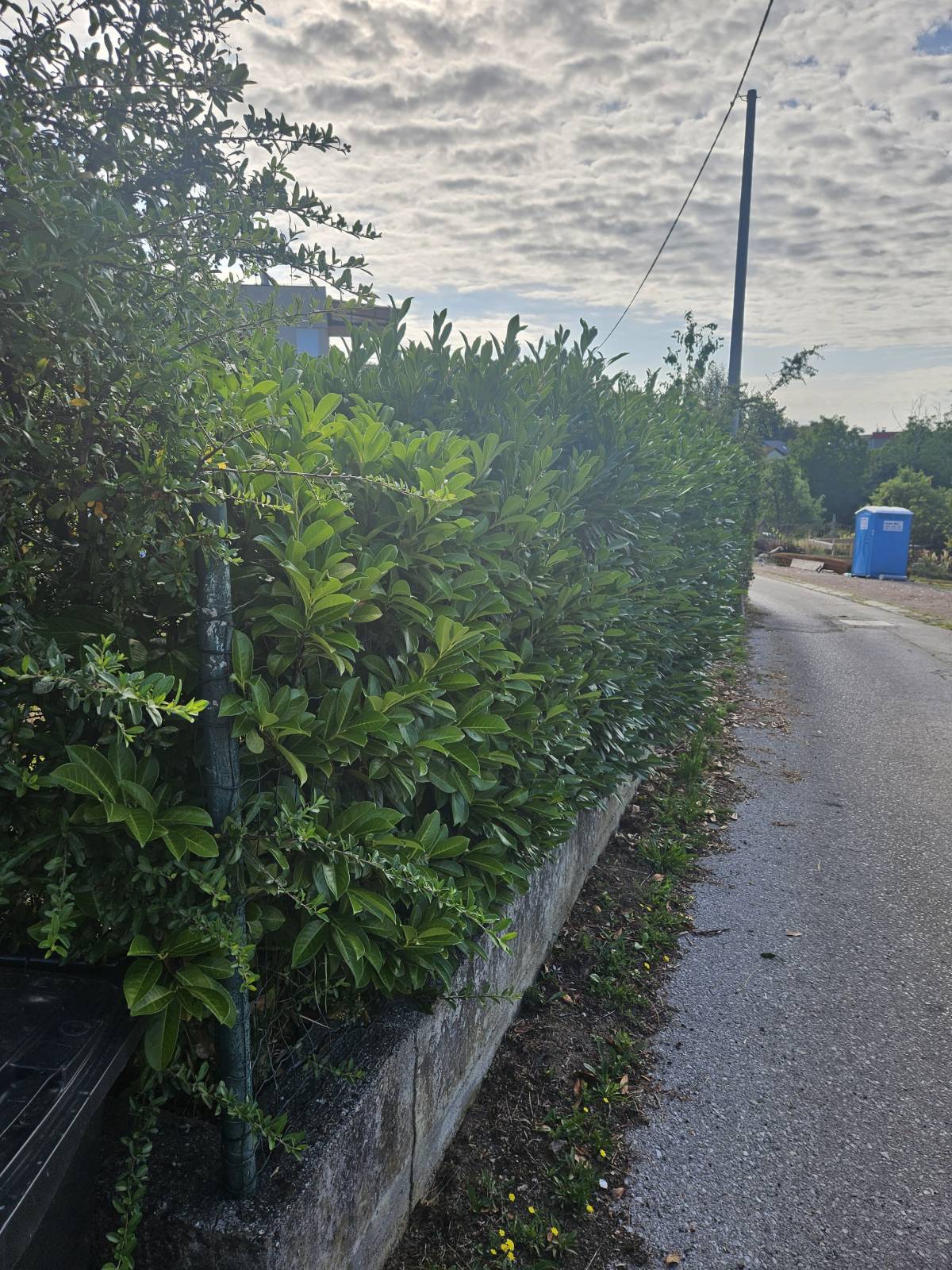 KOŠNJA TRAVE, ŠIŠANJE ŽIVICA, RUŠANJE STABALA, ODVOZ ZELENOG OTPADA