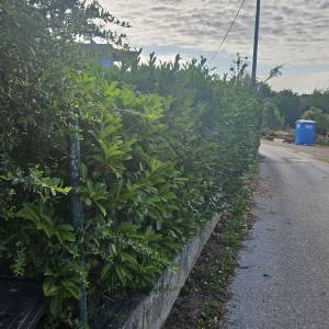 KOŠNJA TRAVE, ŠIŠANJE ŽIVICA, RUŠANJE STABALA, ODVOZ ZELENOG OTPADA