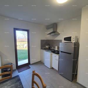 Kuća s 3 stana i velikim zemljištem, Labin!