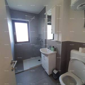 Kuća s 3 stana i velikim zemljištem, Labin!