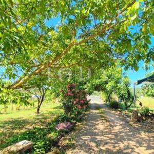 Kuća s prostranom okućnicom u mirnom okruženju, Krk