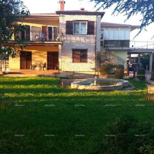 Kuća s tri stana i velikim zemljištem okružena vinogradima i maslinicima