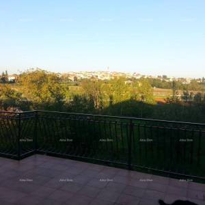 Kuća s tri stana i velikim zemljištem okružena vinogradima i maslinicima