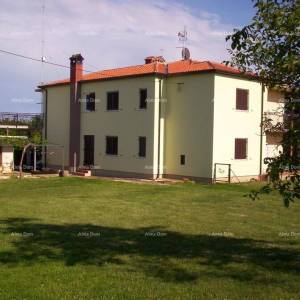 Kuća s tri stana i velikim zemljištem okružena vinogradima i maslinicima