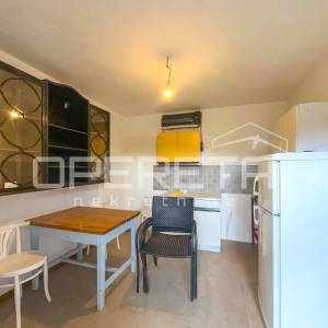 Kuća s velikim zemljištem i maslinama u Bogdanovićima