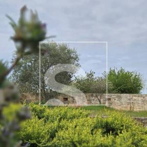 Kuća u Vodnjanu sa dvorištem