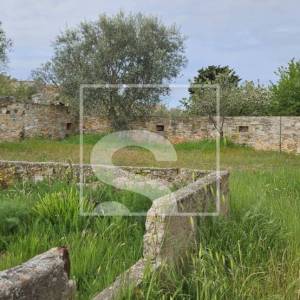 Kuća u Vodnjanu sa dvorištem