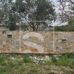 Kuća u Vodnjanu sa dvorištem